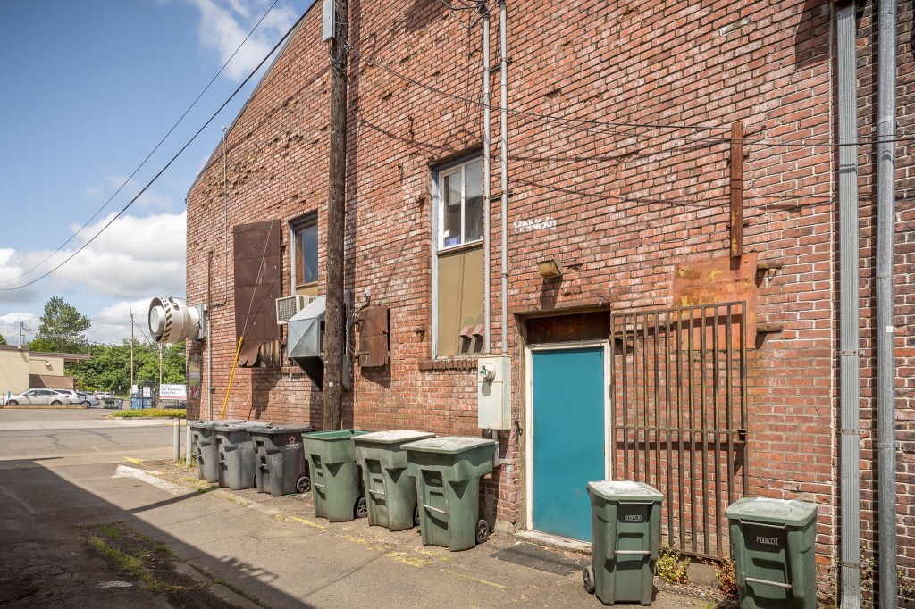 Brick wall with garbage cans and blue door